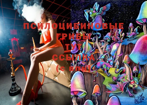 наркотики Зерноград