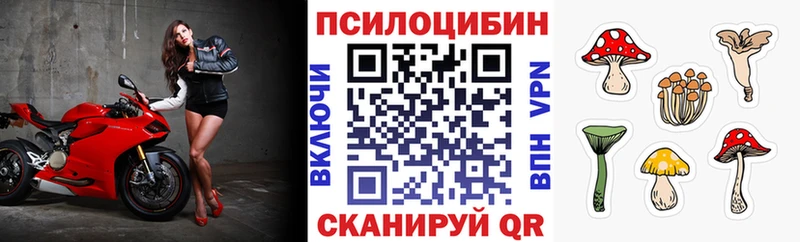 Псилоцибиновые грибы Cubensis Лениногорск